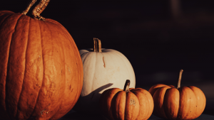 Halloween pumpkins